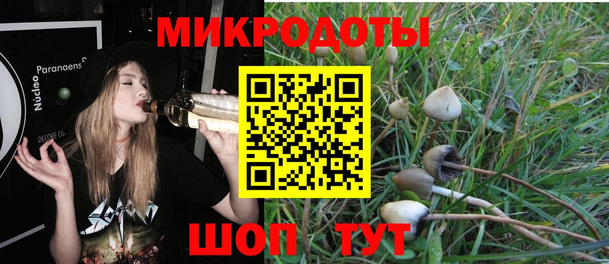 Галлюциногенные грибы Psilocybine cubensis Королёв