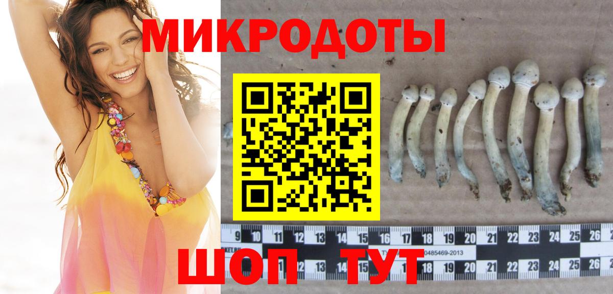 хочу наркоту  Псилоцибиновые грибы Psilocybine cubensis  Вход с VPN  Королёв 